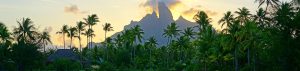 wildlife mountain vacation tour safari adventure travel