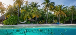 beach luxury vacation family ocean adventure travel group