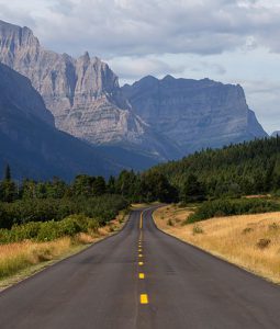 montana national park nature tour vacation wildlife