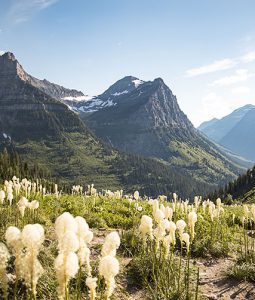 nature tour guided outdoors vacation leisure travel