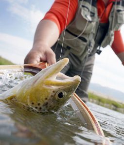 montana fishing guided vacation nature outdoors